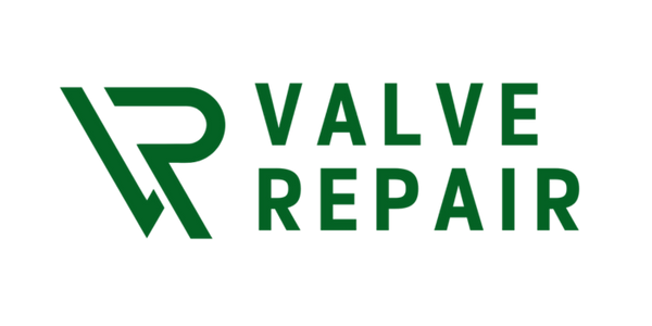 Valve Repair